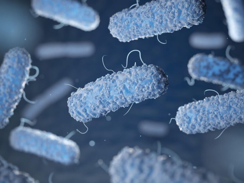 Why Do I Need A Legionella Risk Assessment?